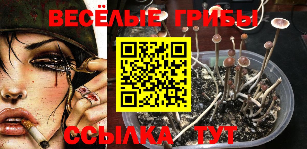 Анжеро-Судженск  Псилоцибиновые грибы мухоморы  Вход с VPN  Галлюциногенные грибы Psilocybine cubensis 