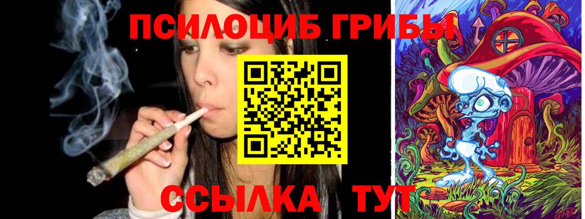 Псилоцибиновые грибы Psilocybe Анжеро-Судженск